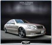 1a..Wald kit EXECUTIVE LINE W221 look.
