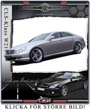 3. CKM Expression kit
